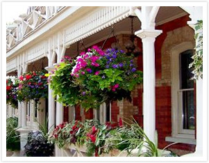 Decorate your porch with hanging potted plants.