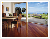Window Films Picture