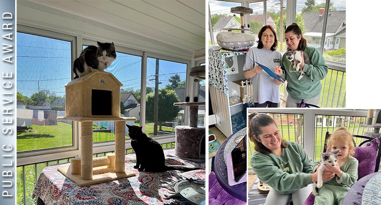 A collage of three photos: cats with a cat tree; two women, one holding a cat; and a woman with a small girl holding a cat.