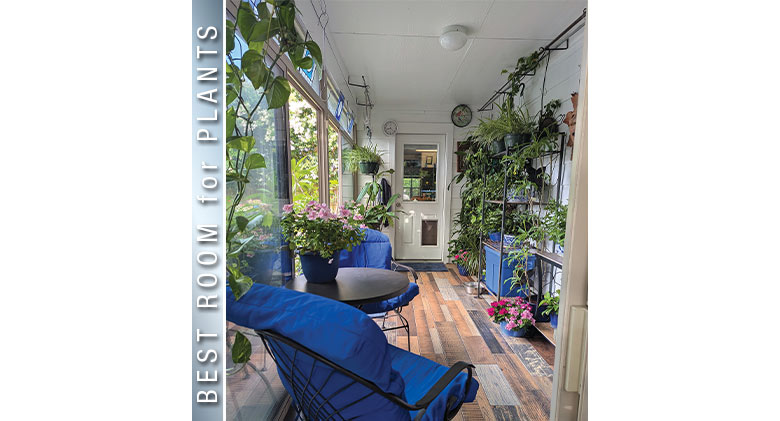 Best Pet Photo: Five small dogs in a three-season patio enclosure, one on the floor and four on various chairs &
ottomans.