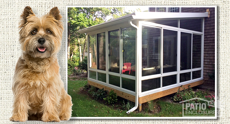 Pet enclosures for dogs deals