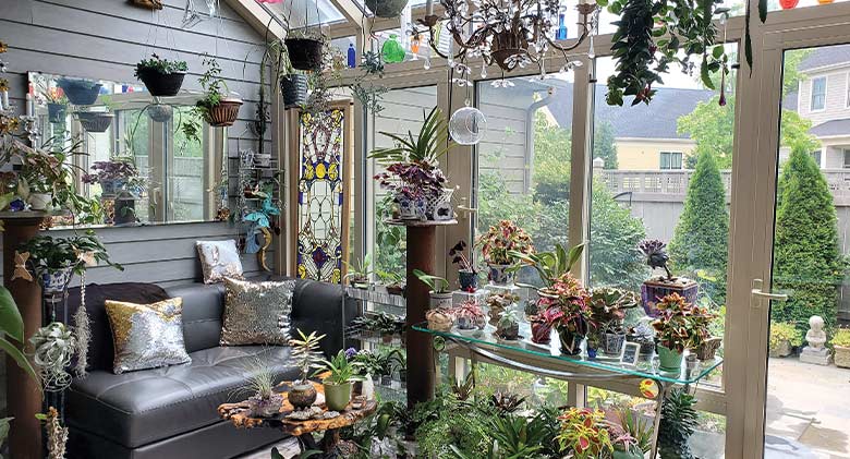 Interior of a solarium with a couch, mirror on the wall and various plants, hanging, on a table and on the floor.
