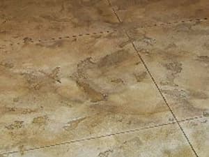 Sunroom Flooring Concrete