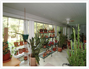 sunroom gardening