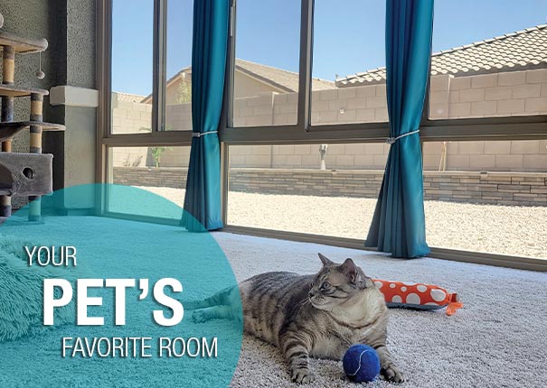 Create your perfect room for pets