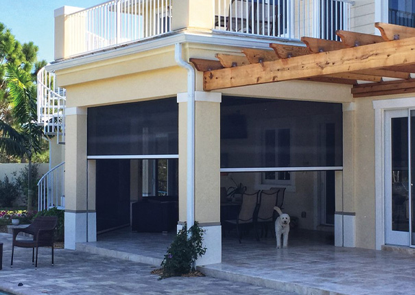 A dog stands in the opening of a covered patio with black retractable screens partially down.
